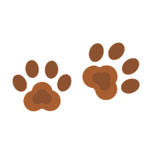 Catdog